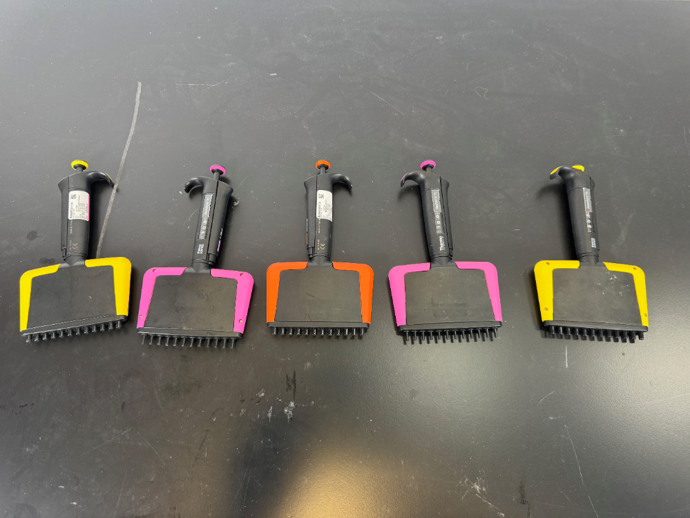 Image of Thermo Finnpipette F2 Multichannel Pipettes - Quantity 5